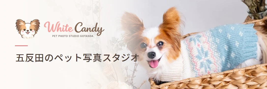 whitecandy.info バナー